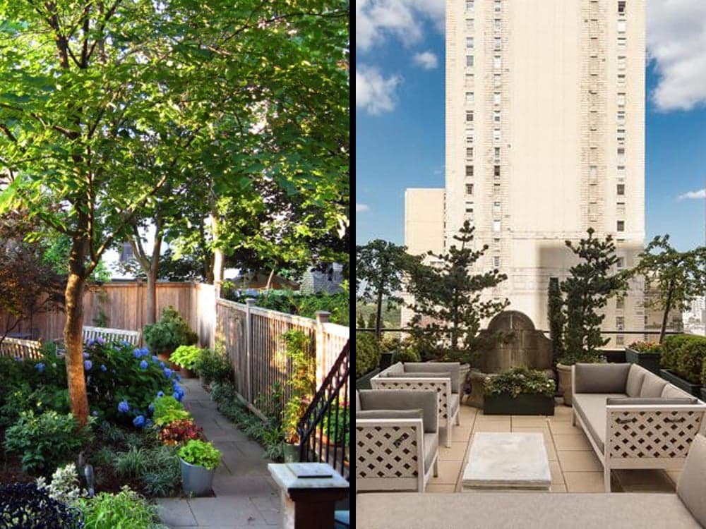 Would You Rather: Have a terrace or a backyard?