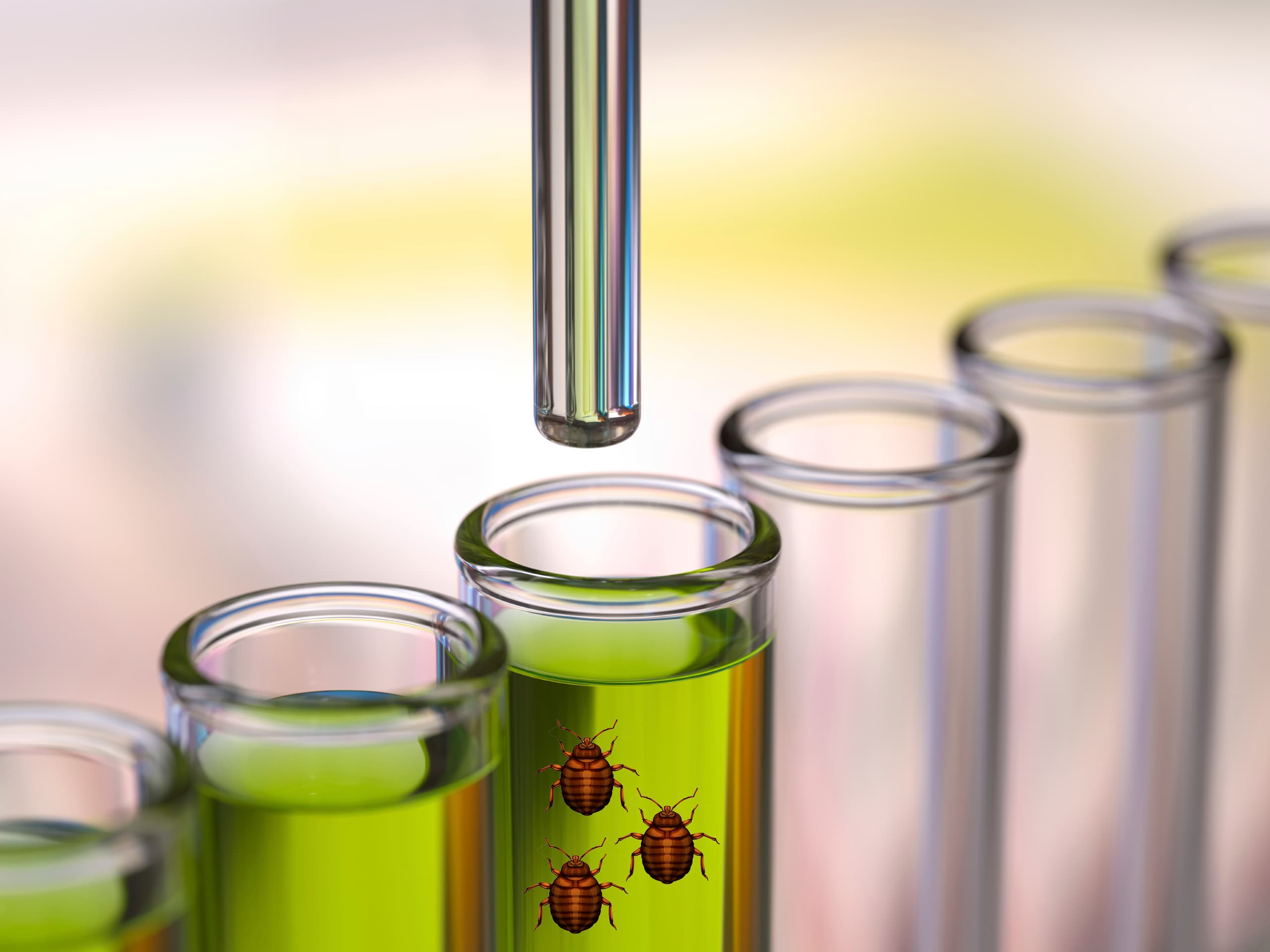 Is that a bedbug? A DNA test will tell you in 24 hours