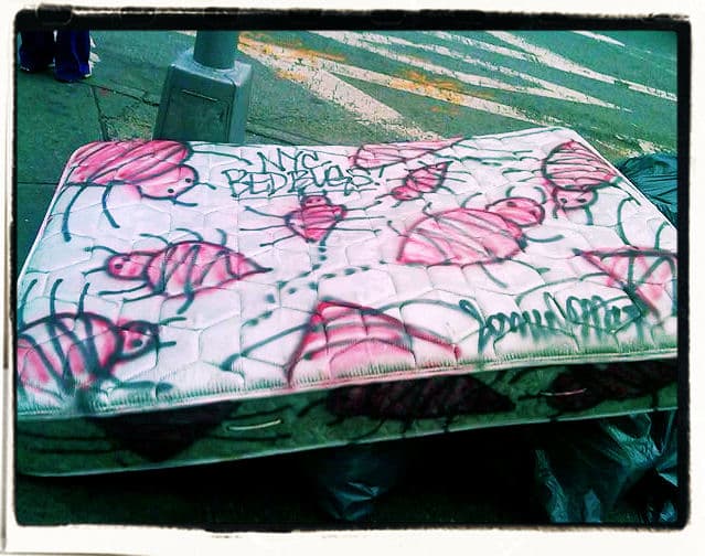 8 tips for destroying the competition ... at an open house