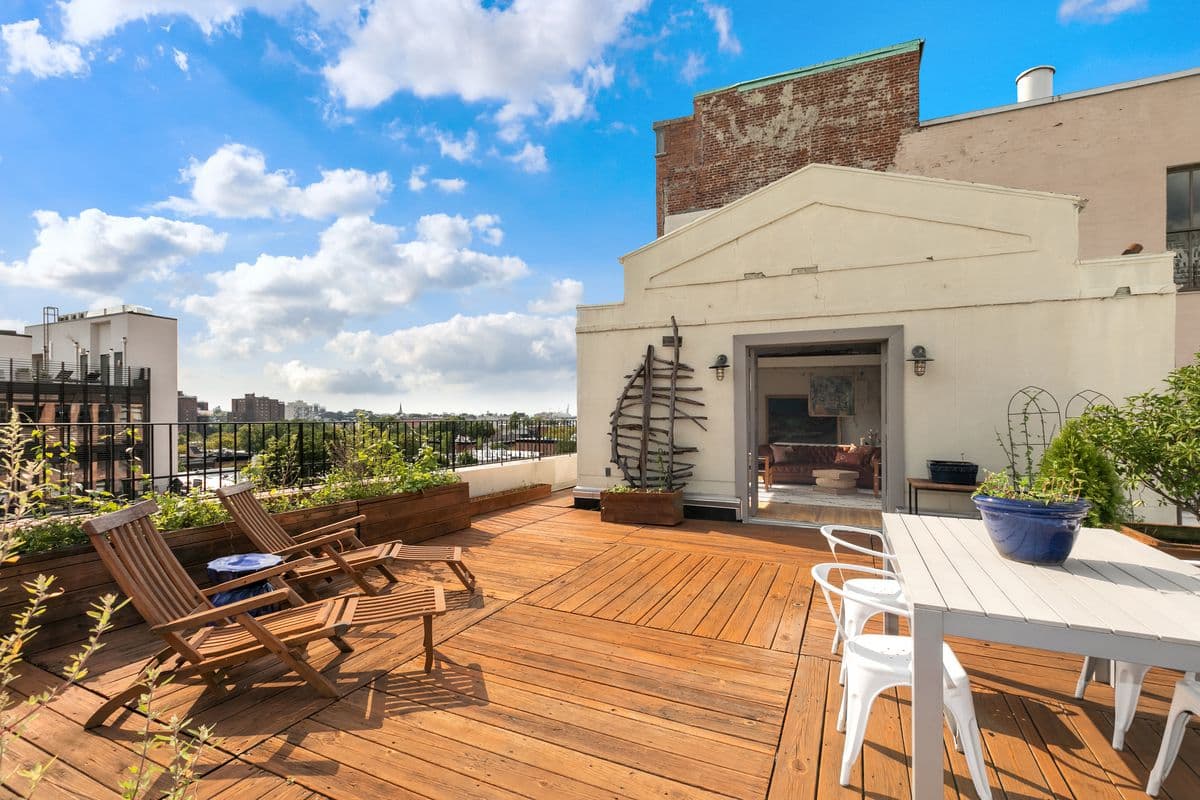 This Boerum Hill luxury one bedroom has a rooftop studio that once housed Ex Lax test monkeys