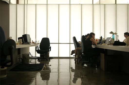Ask an Expert: Can my boss actually live in the office?