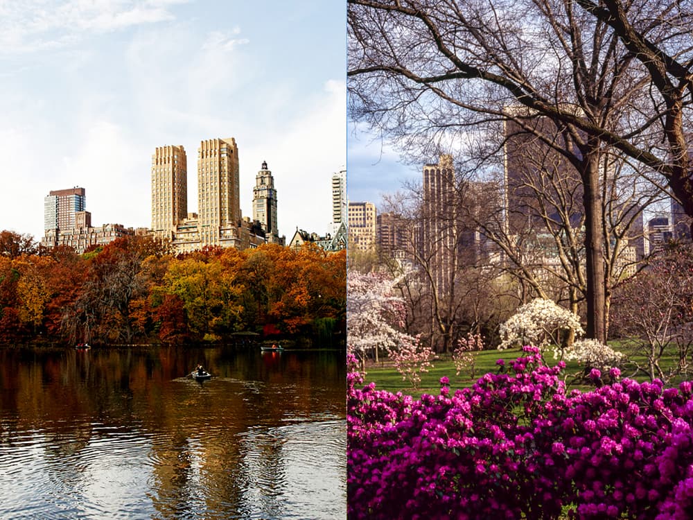 Ask an Expert: Should we sell now, or wait until the spring?