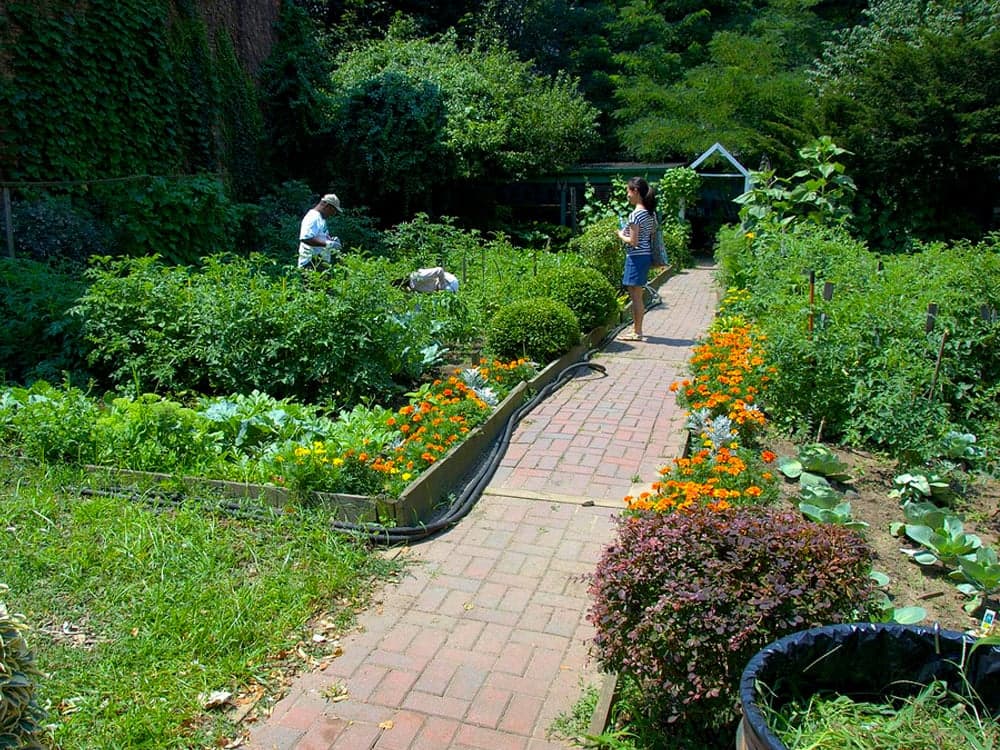 Living next to a playground/secret garden isn't all fun & chervil