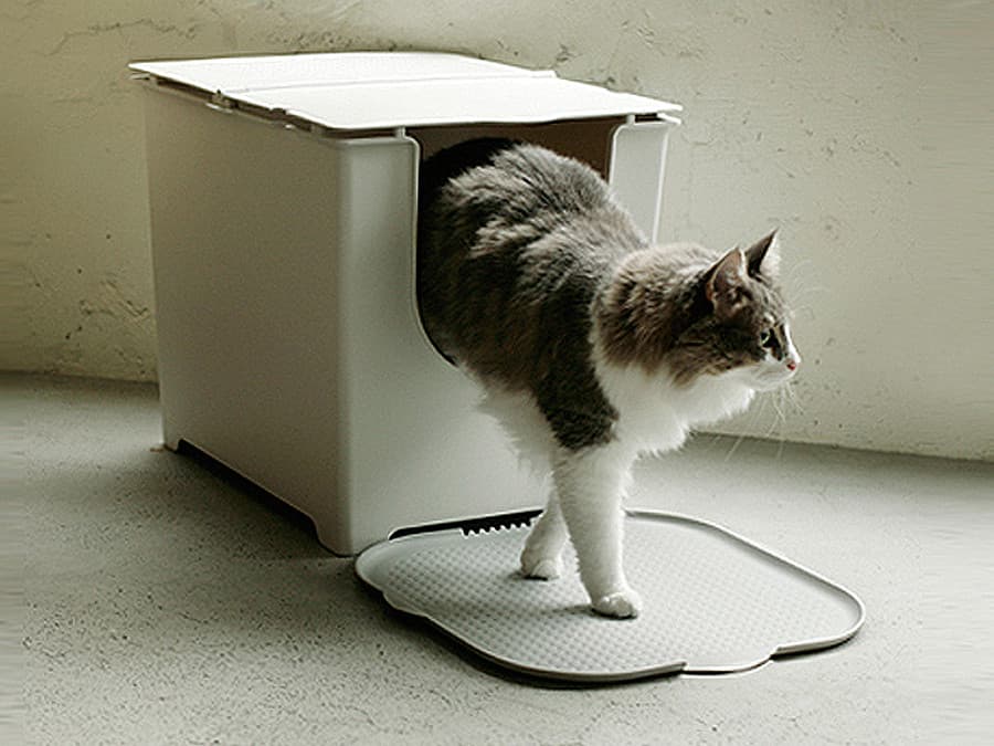 3 secrets for keeping your pet-friendly apartment from smelling like your pet