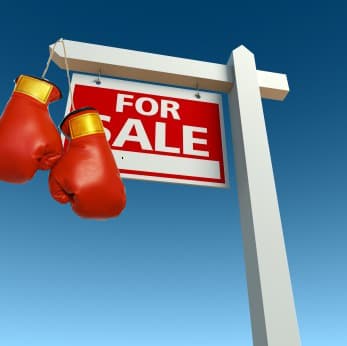 for sale boxing.jpg