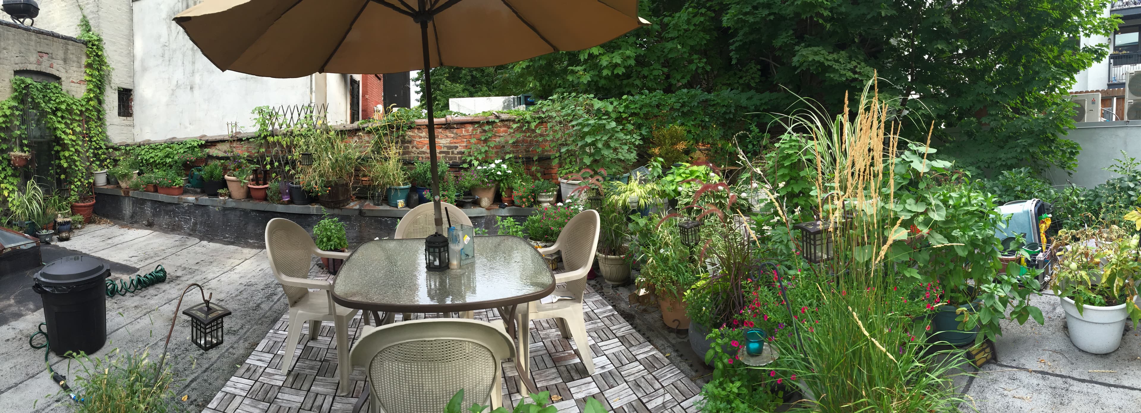 How I once turned an illegal Brooklyn roof deck into my garden oasis