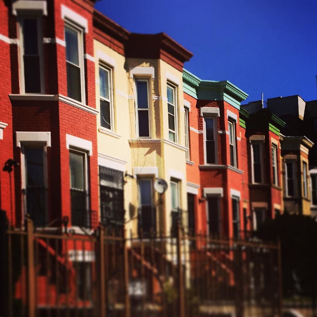 A season-by-season guide to maintaining a house in NYC