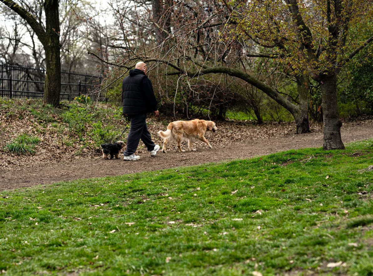 From Long Island to the UES: A couple moves with mom and still finds privacy