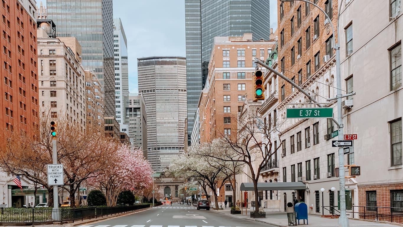 East River flood wall plans, big dogs reign on Staten Island, & more