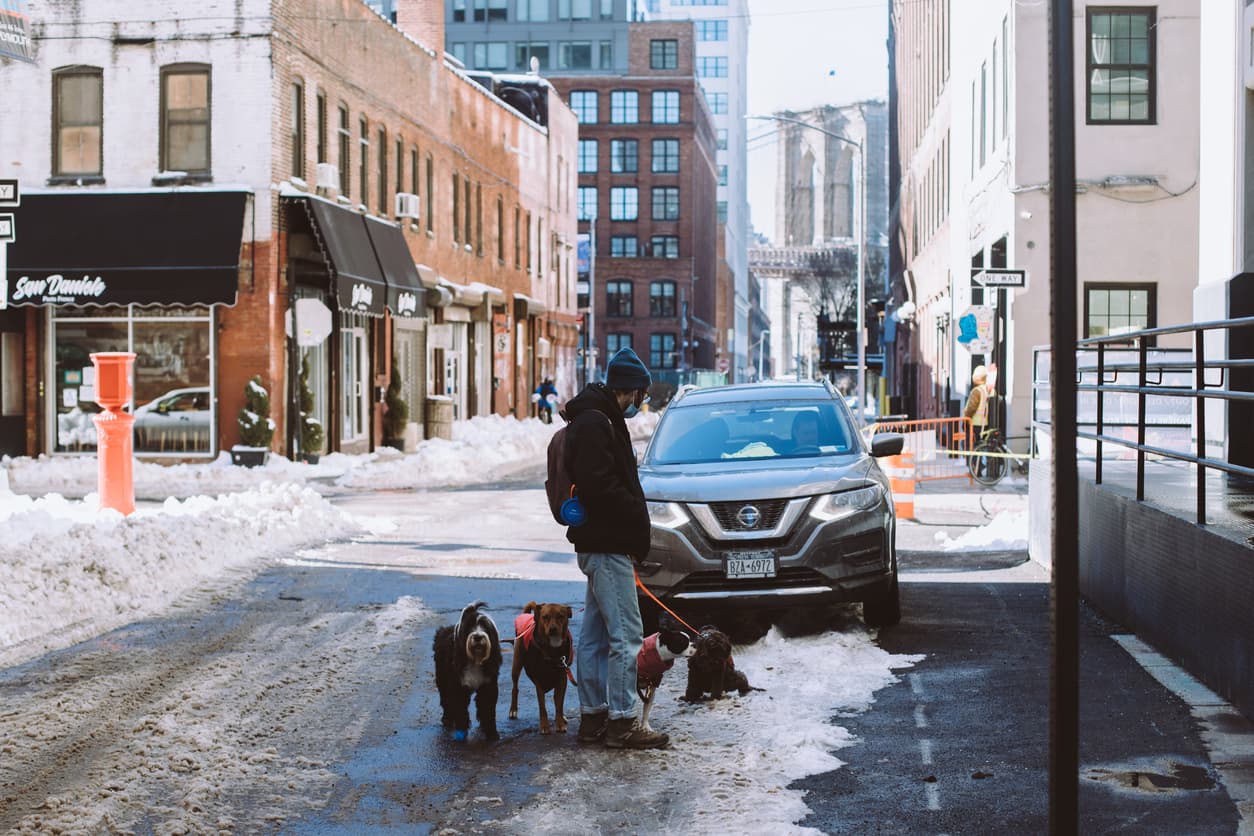 Evictions plunge by 80 percent, pushing for rent relief, & more