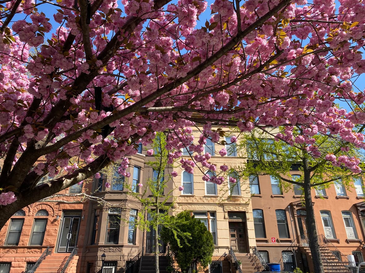 Brick Underground’s best neighborhoods for recent college grads 2021