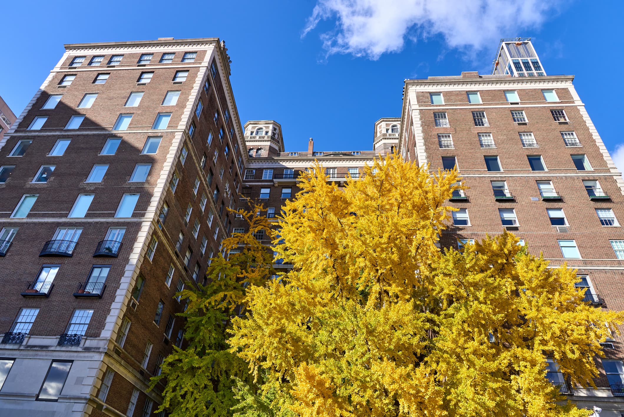 How long does it take for a co-op board to schedule an interview?