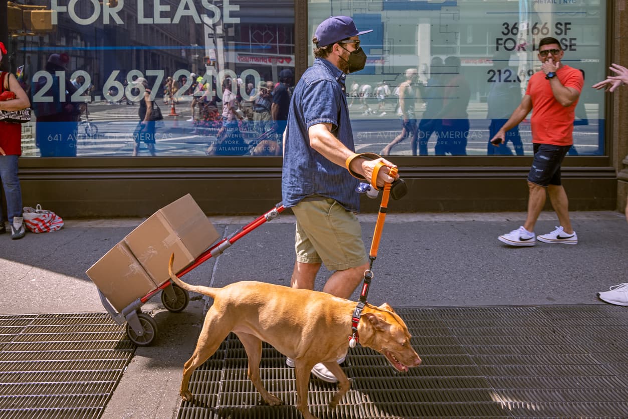 Criminal background check ban, squatters in Bayside, & more