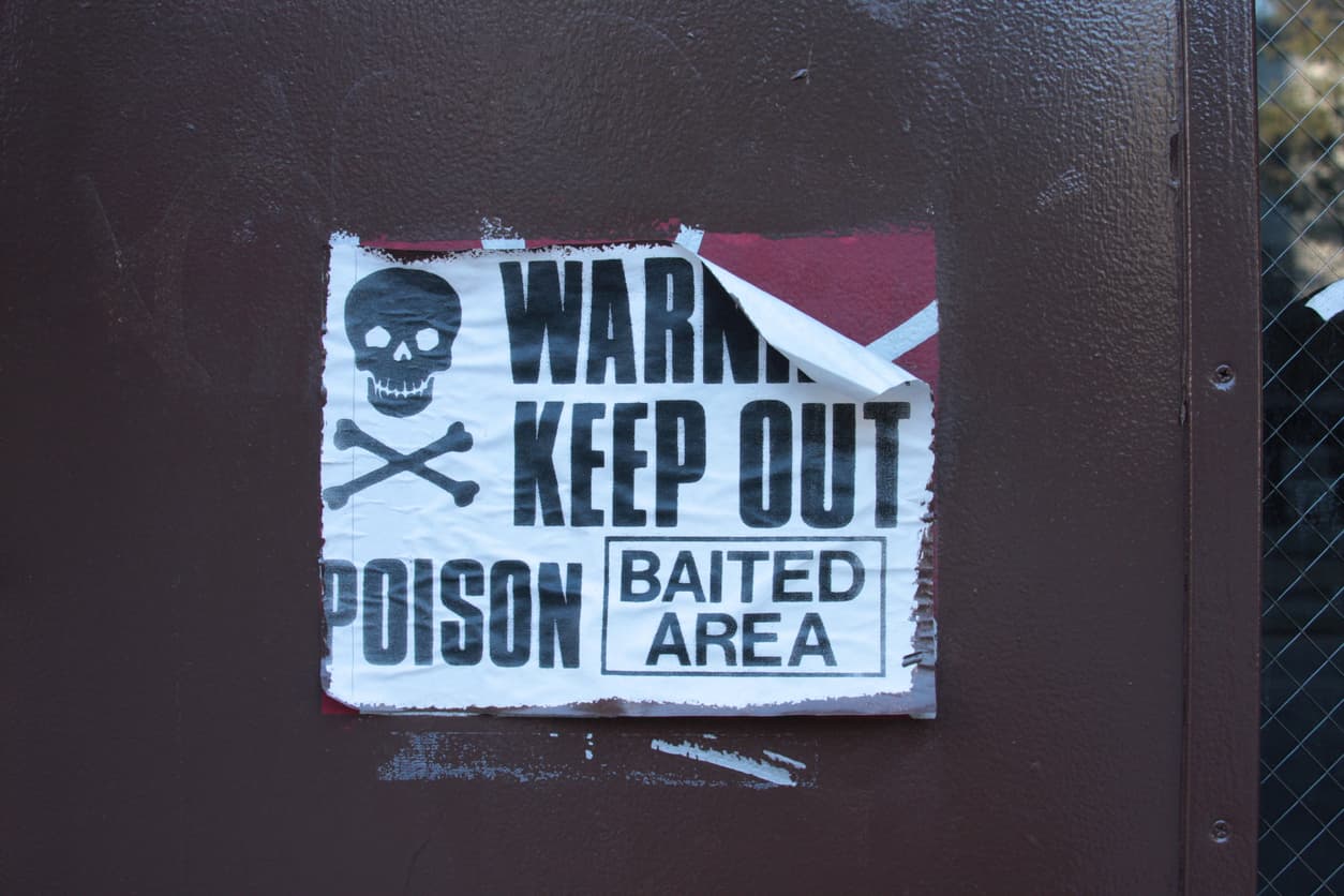 Report: Complaints of rat sightings decline across New York City