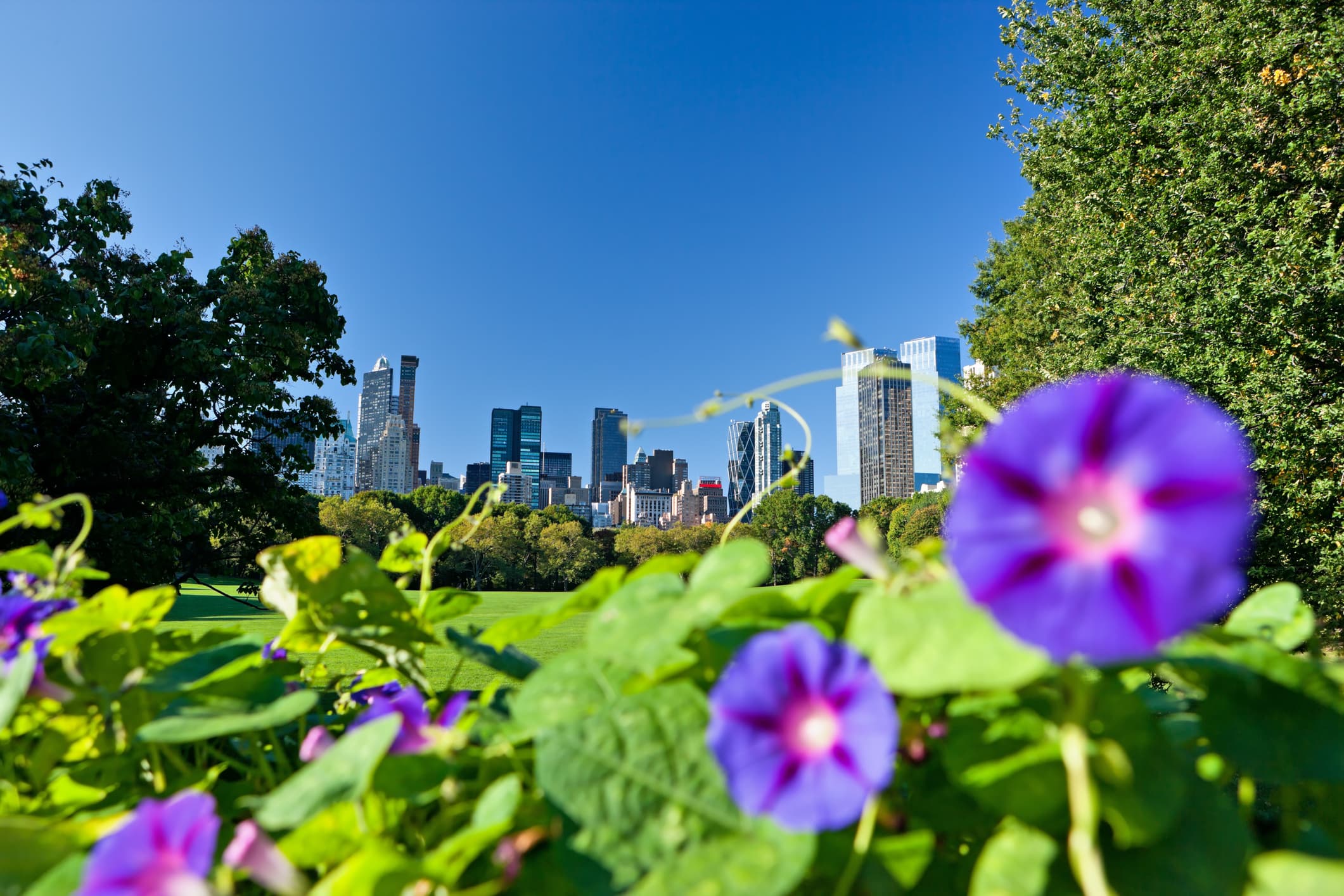 Instagram roundup: NYC backyards and terraces get ready for their warmer-weather closeup