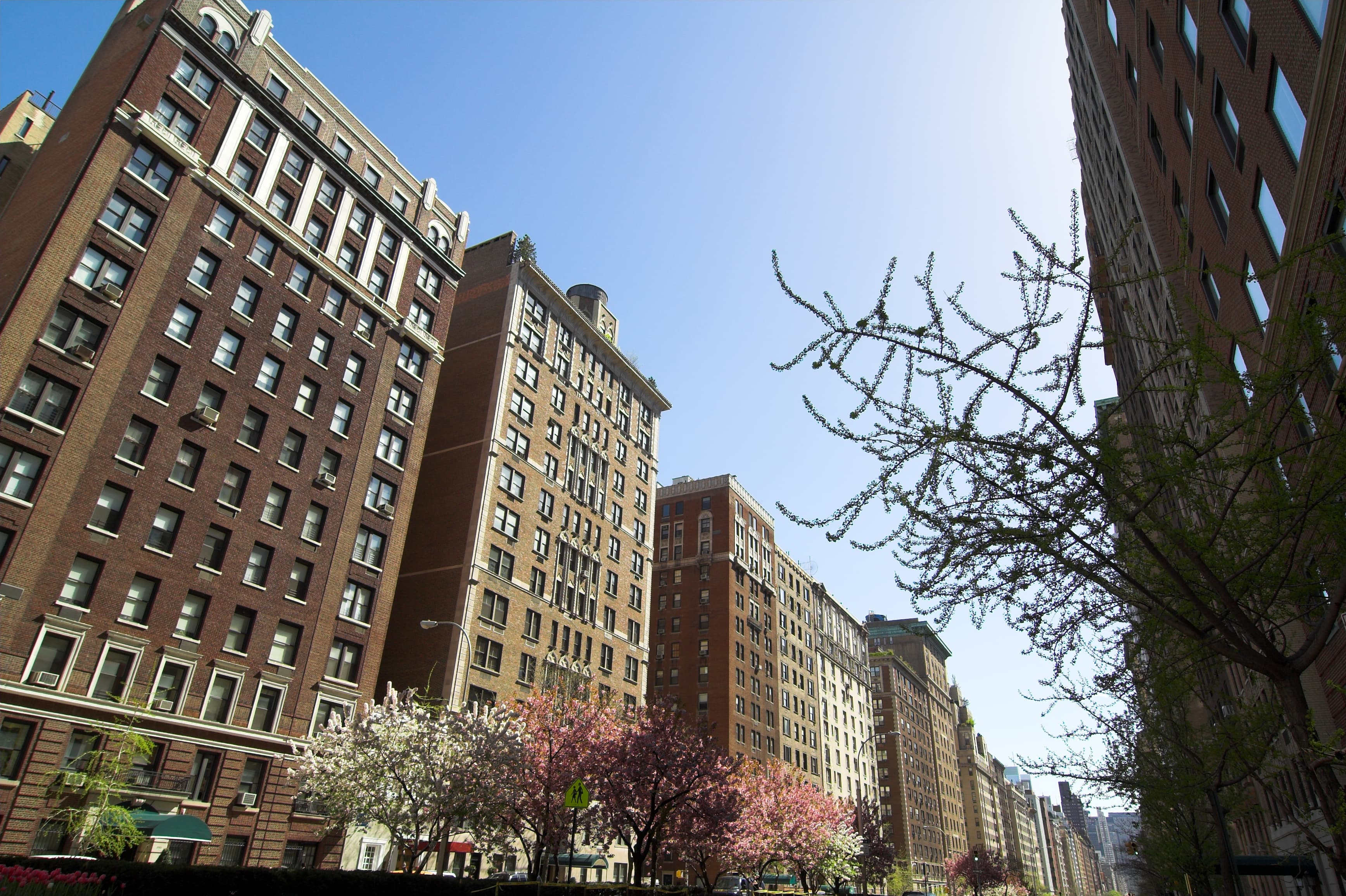 Board Approved: How to impress a NYC co-op board