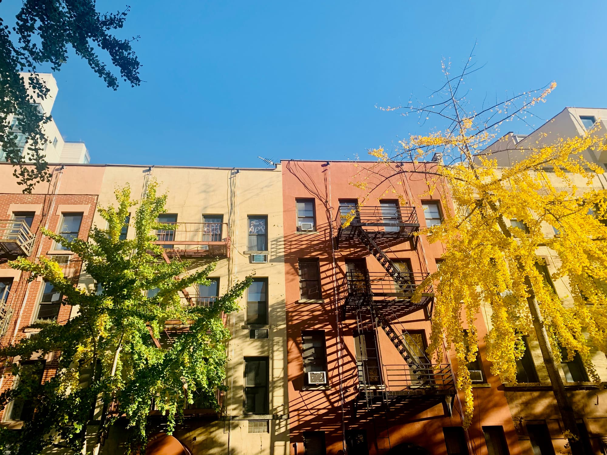 brightly colored apartment buildings surrounded by trees in Upper East Side, Manhattan