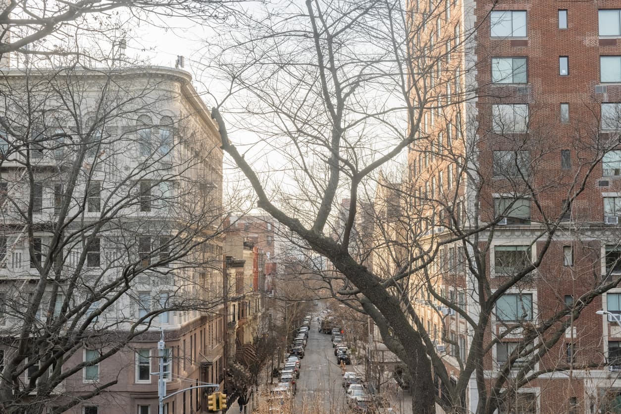 This is a photograph of a street in the Upper West Side in NYC viewed from the Summit in Central Park through bare tree branches.