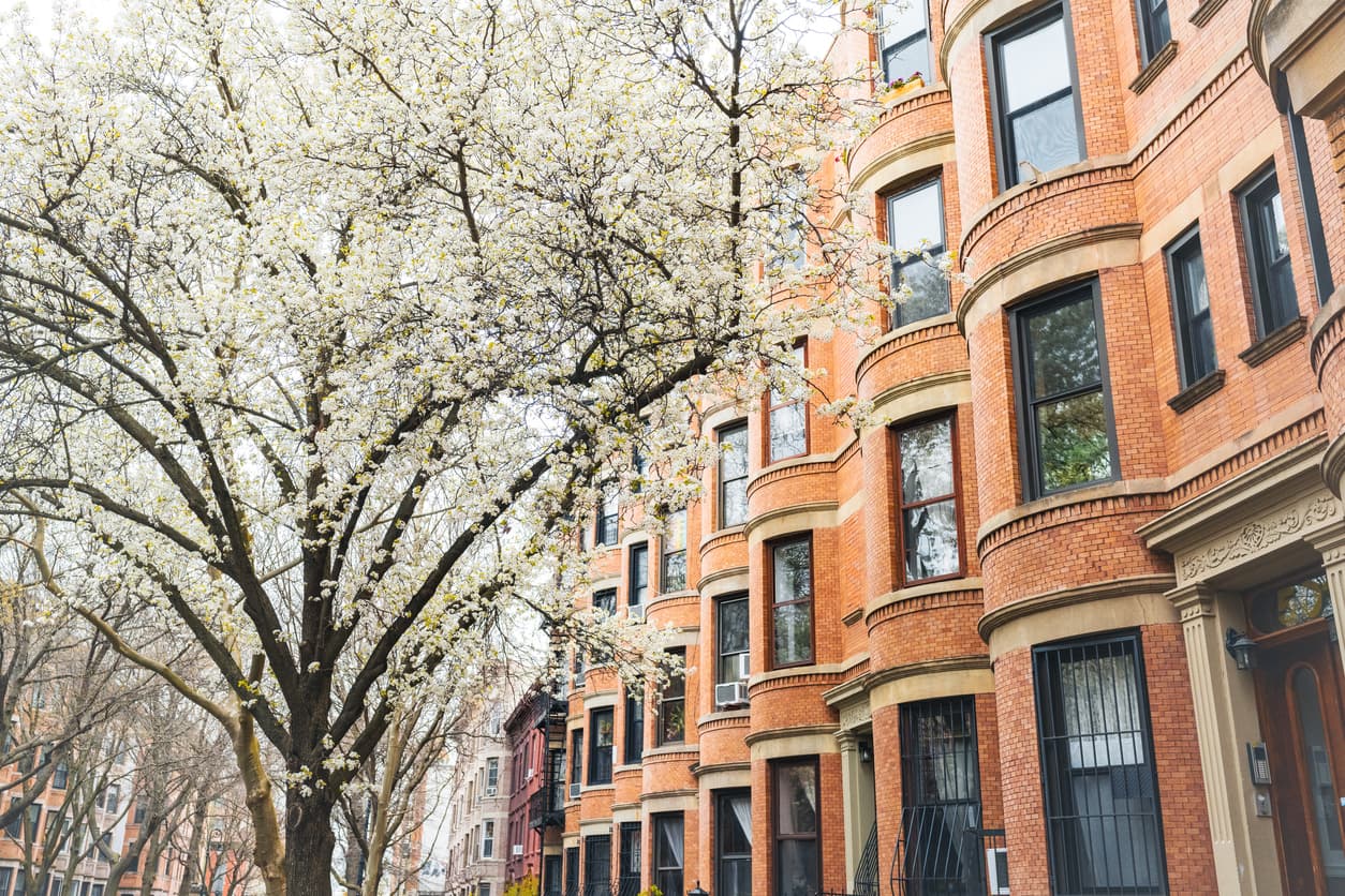 This is a photograph of spring flowers blooming beside residential buildings in the Park Slope neighborhood of Brooklyn, NY.