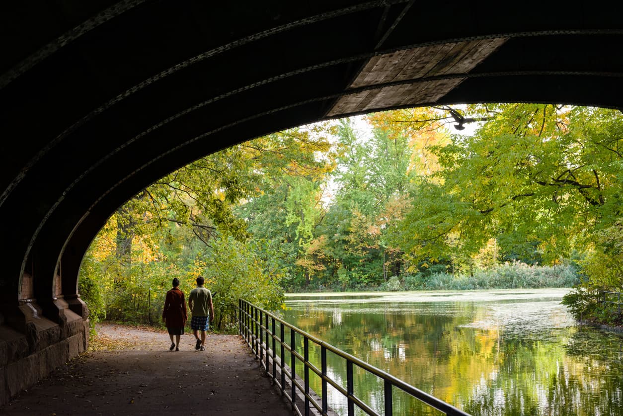 Why sheltering in NYC is unlike anywhere else: An essay