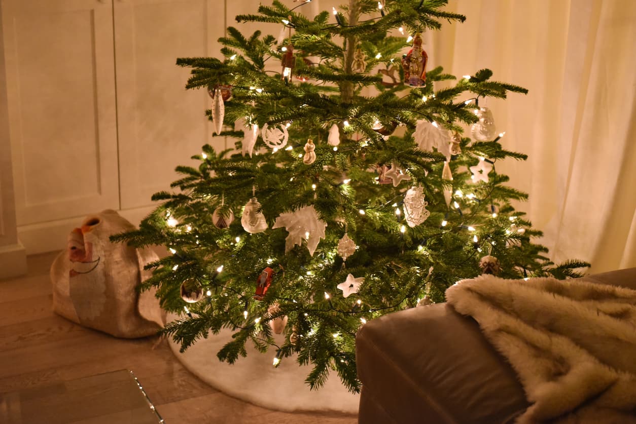 5 tips for keeping a Christmas tree alive in an NYC apartment