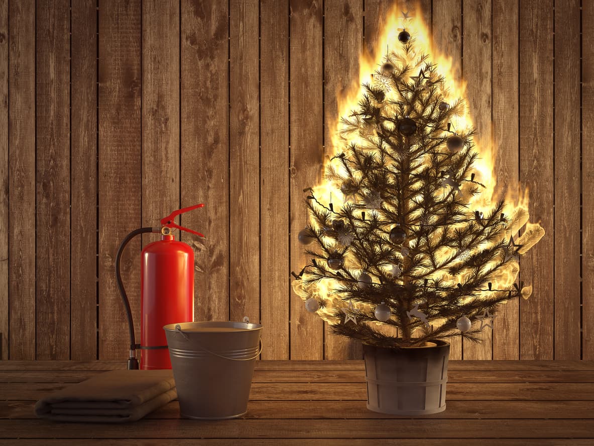Ho-ho-home damage: Steer clear of the season's biggest apartment hazards