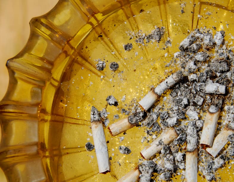 Sometimes your only option is to narc on your neighbors