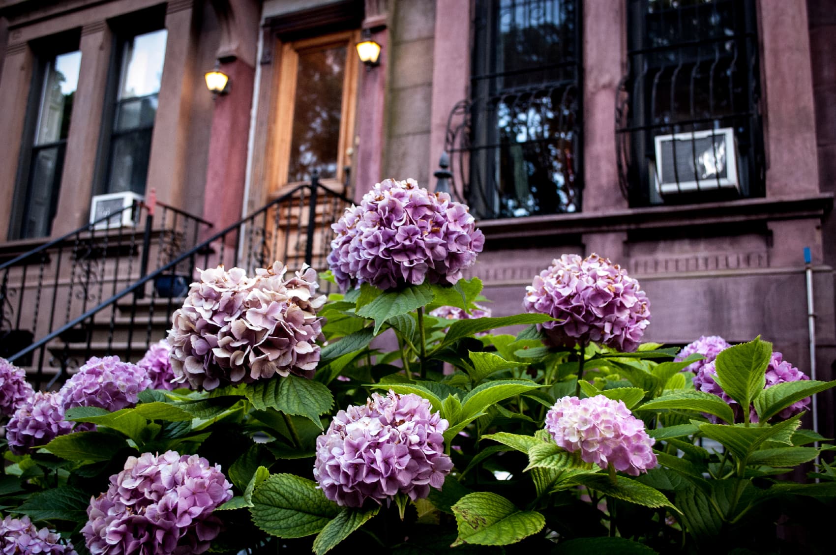 Avoid our mistakes: a brownstoner's advice on picking a contractor