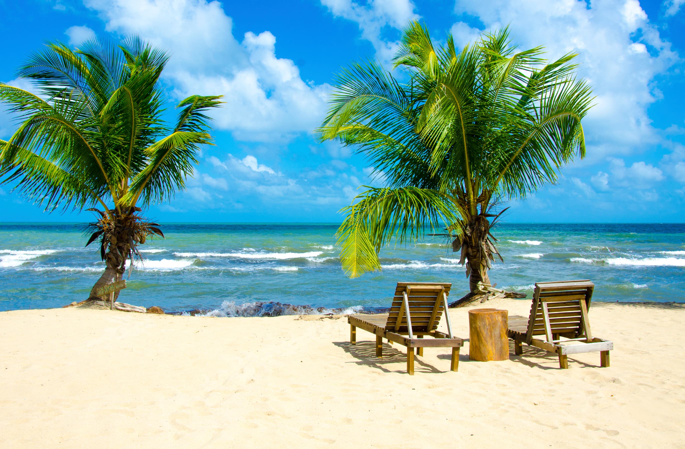 Ease the pain of moving this winter with a tropical getaway!