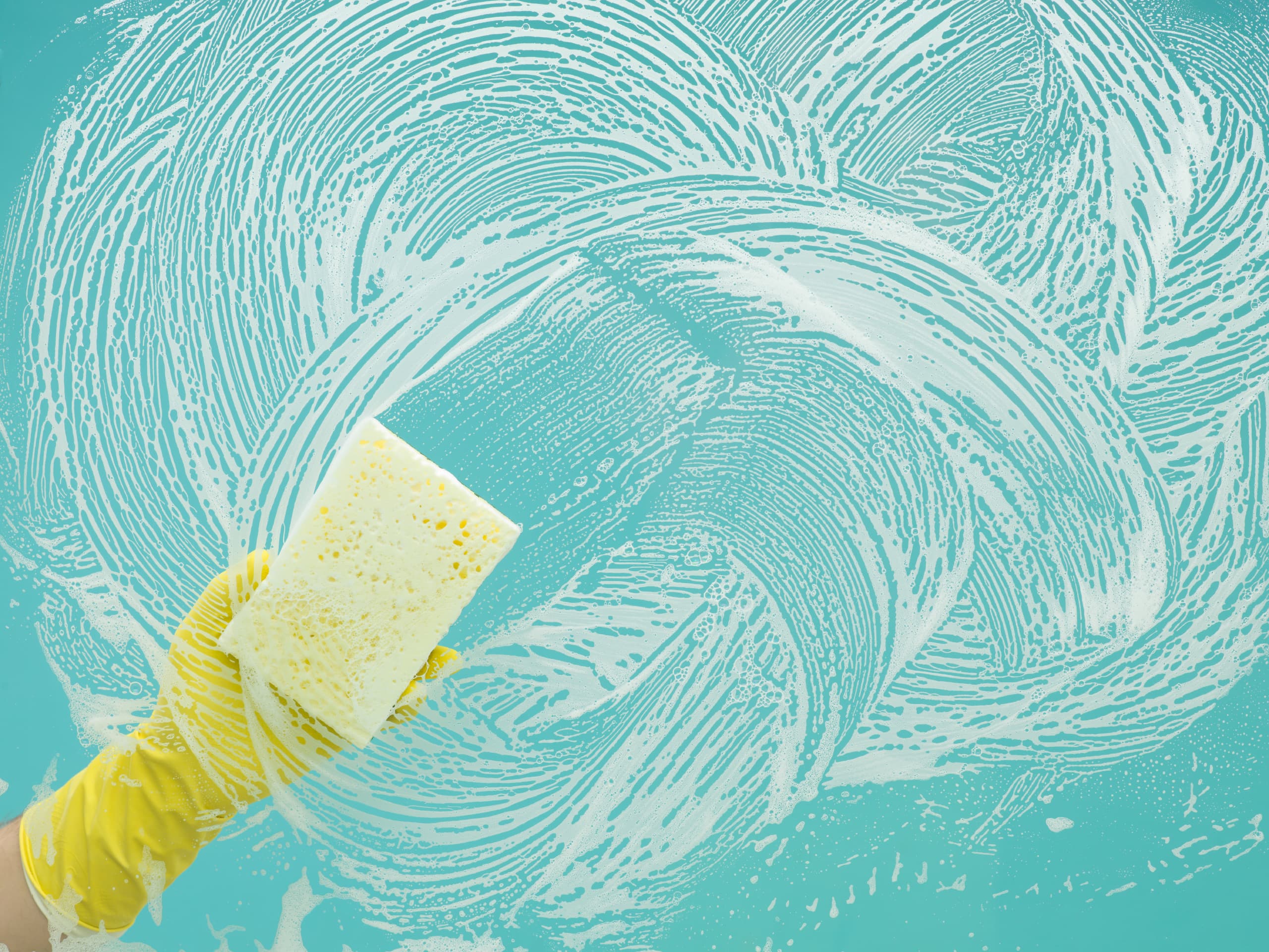 Your everything guide to spring cleaning your apartment