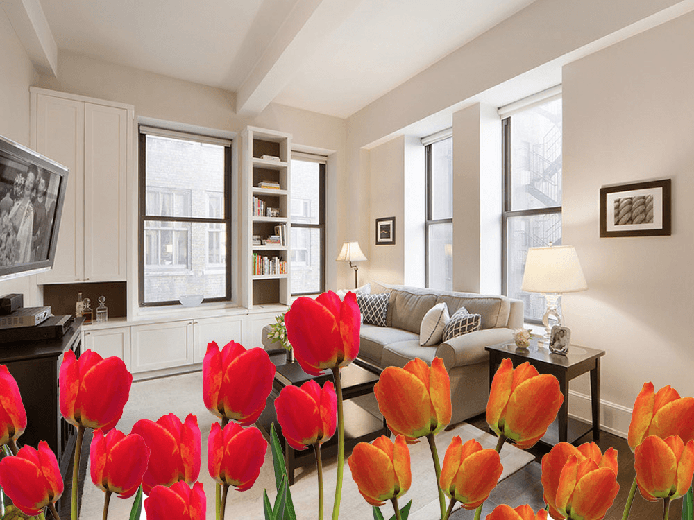 Ready, set, buy: An apartment-hunter's guide to the spring season