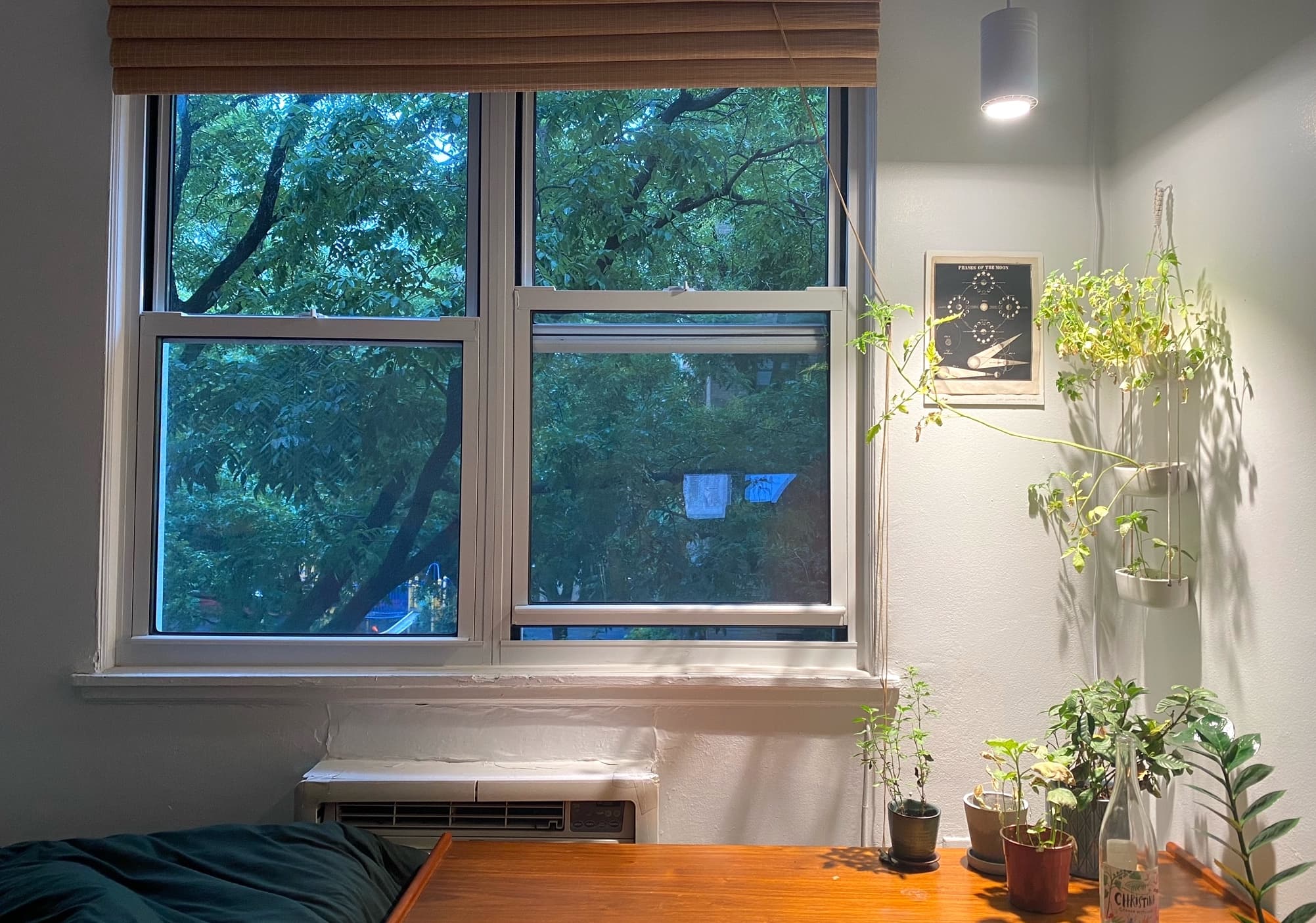 From Chinatown to Chelsea: Spending more to live by herself in a studio