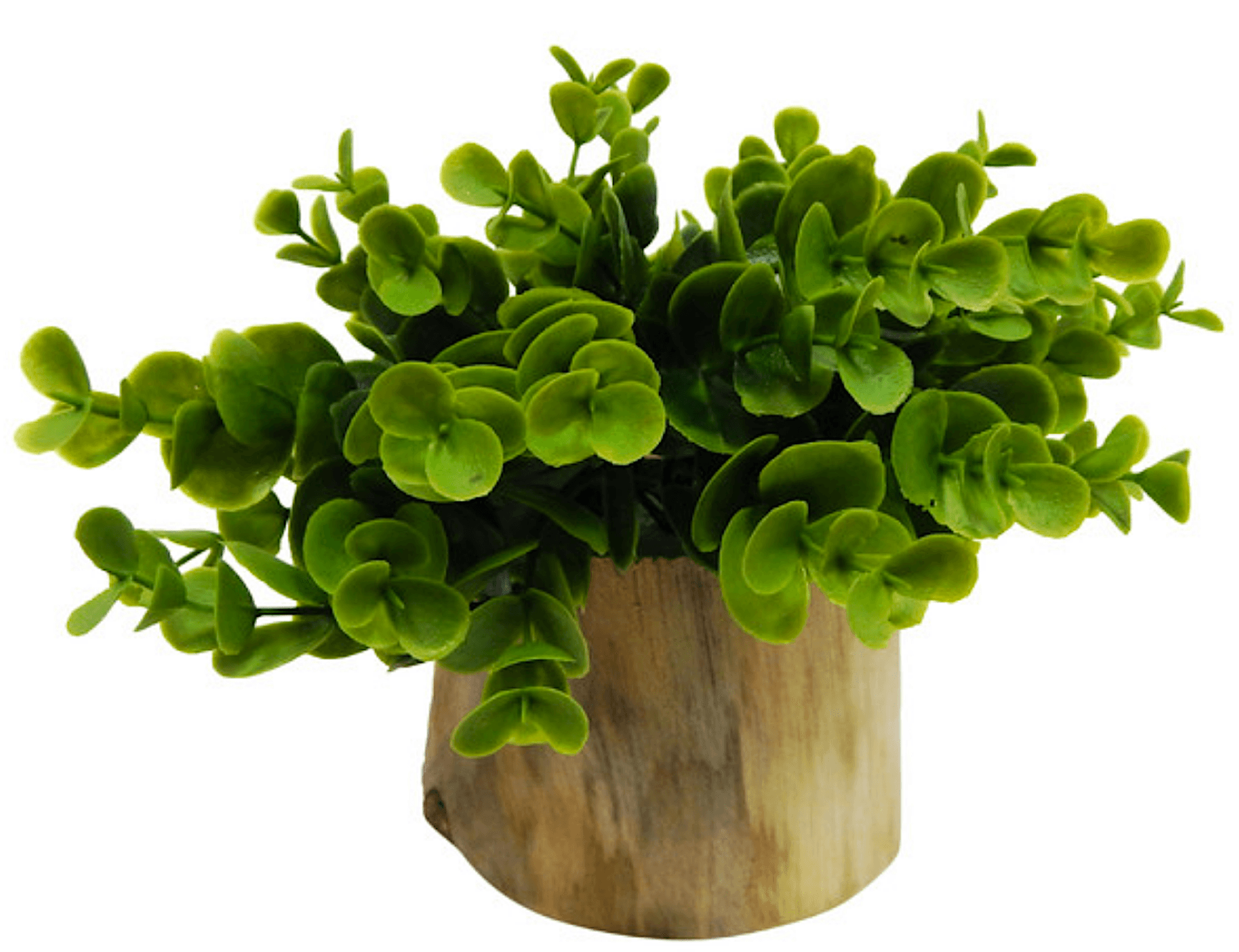 Faking it: 6 artificial plants that will truly green your apartment