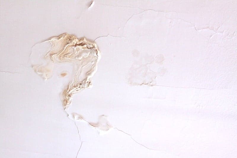 Apartment insurance coverage for mold? Here’s what you need to know