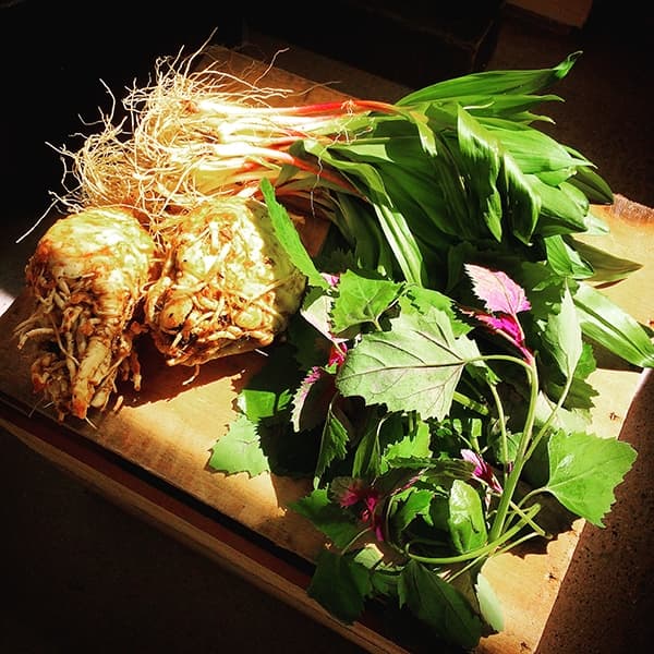 Forgot to sign up for a CSA in the city? These alternatives will sate your fruit-and-veggie thirst