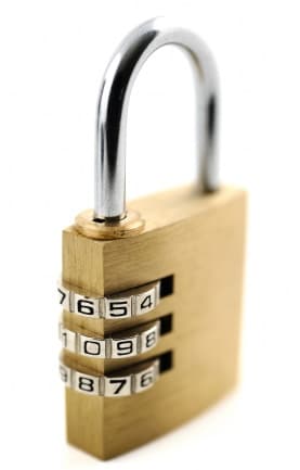 Bed-bugged storage (Part 1): Is your stuff safe? 