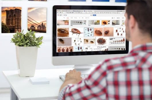 The Paranoid New Yorker's Guide to Googling Your Neighborhood