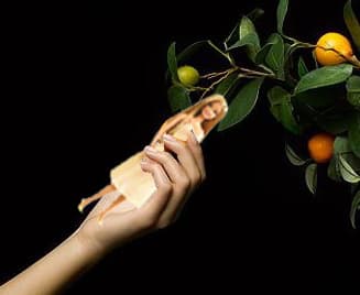 11 years, 17 shares: How to pick a roommate