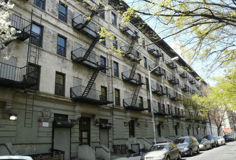 Affordable housing in Harlem and cute pet pics were among our most popular stories of the week 