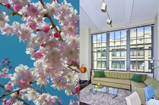 New Yorkers want relief from the maddening sounds of spring