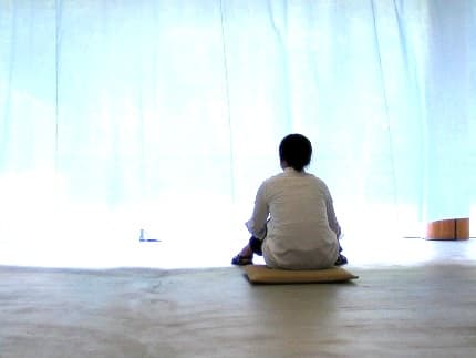 Life after bed bugs: I'd like to say I won