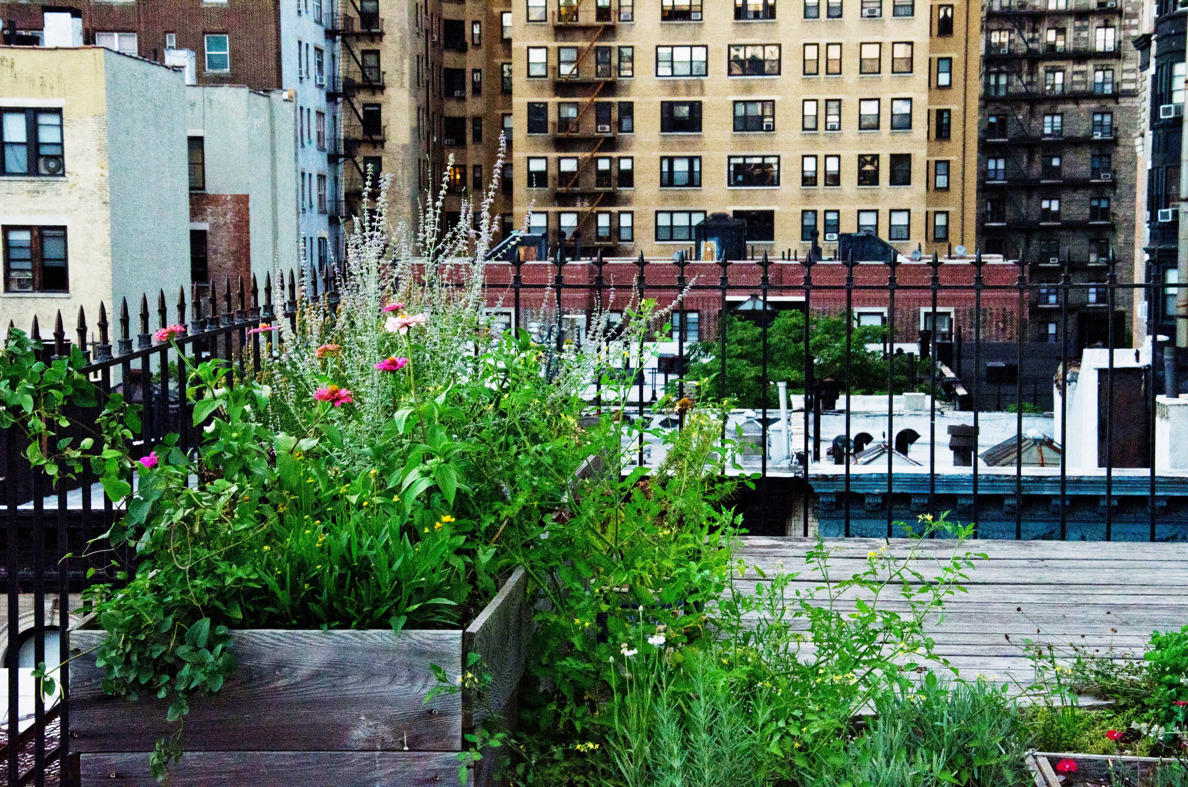 'Green' your building to up its market value, bunk up in a Brooklyn art gallery, and more