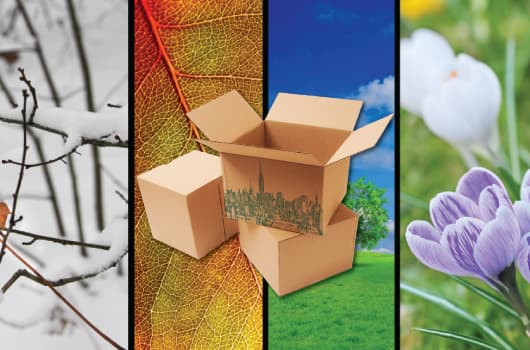 Open season: Where apartment dwellers can find bargains year-round