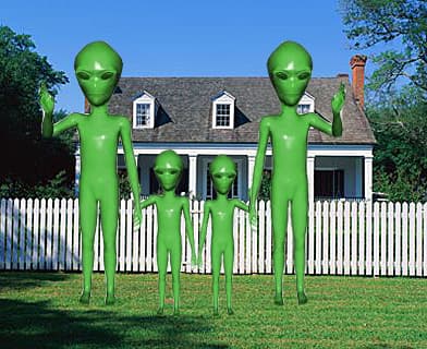 Inside Story: My suburban nightmare