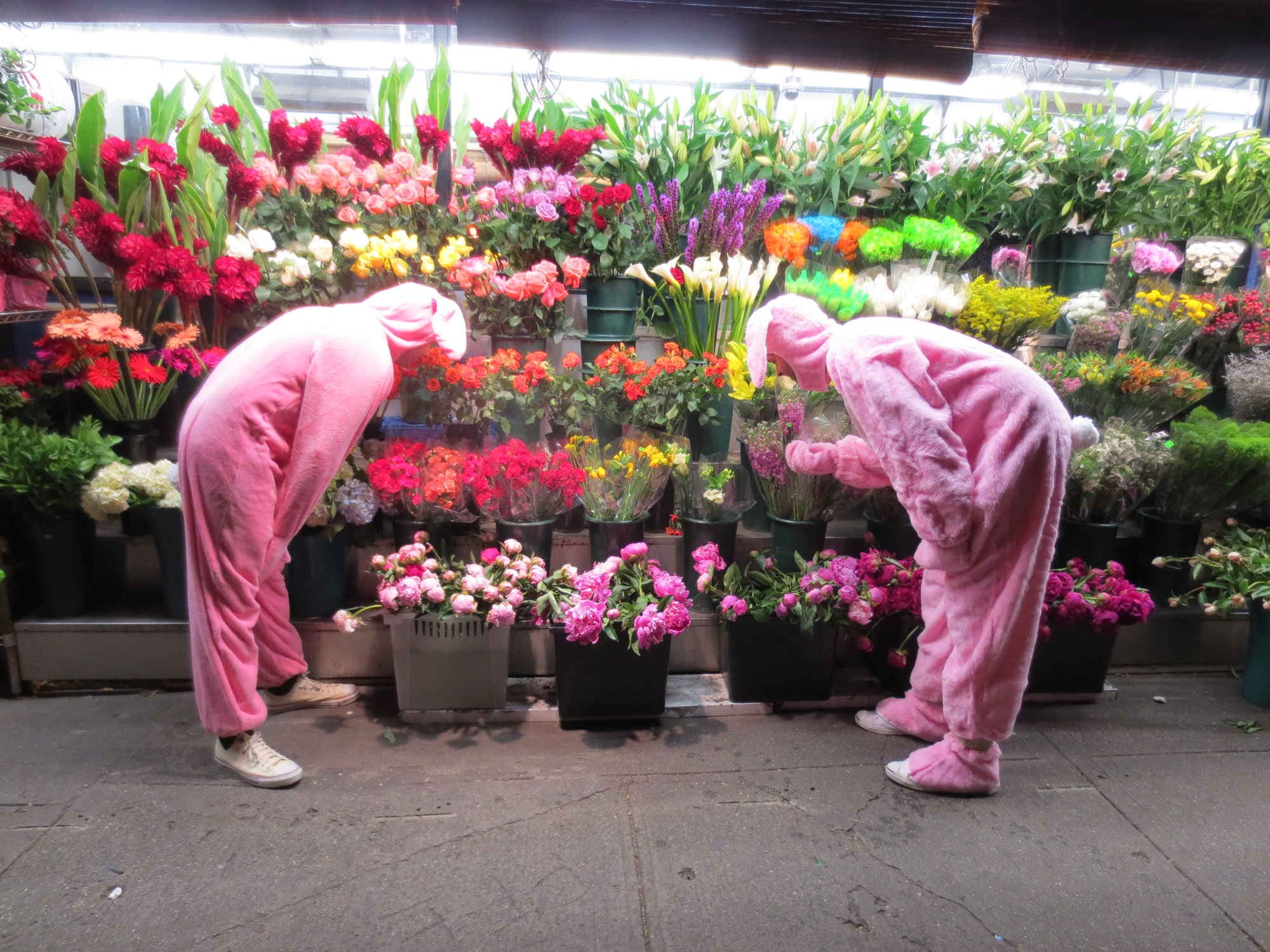 Survival tips from 13 years of NYC living, the upside of a neighbor’s apartment combo, and more