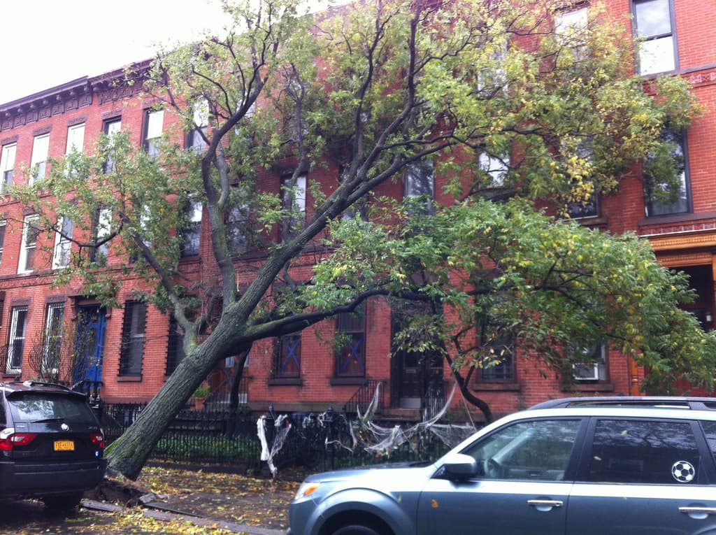 StreetNoise Stormweek Edition: Why your Verizon/Cablevision stinks, if only they'd stayed inside, and more