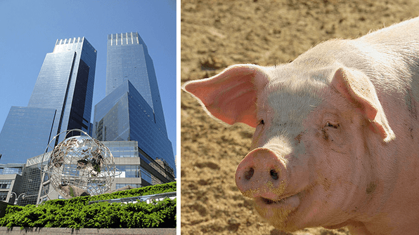 Good news: Manhattan condos are a better investment than hog futures