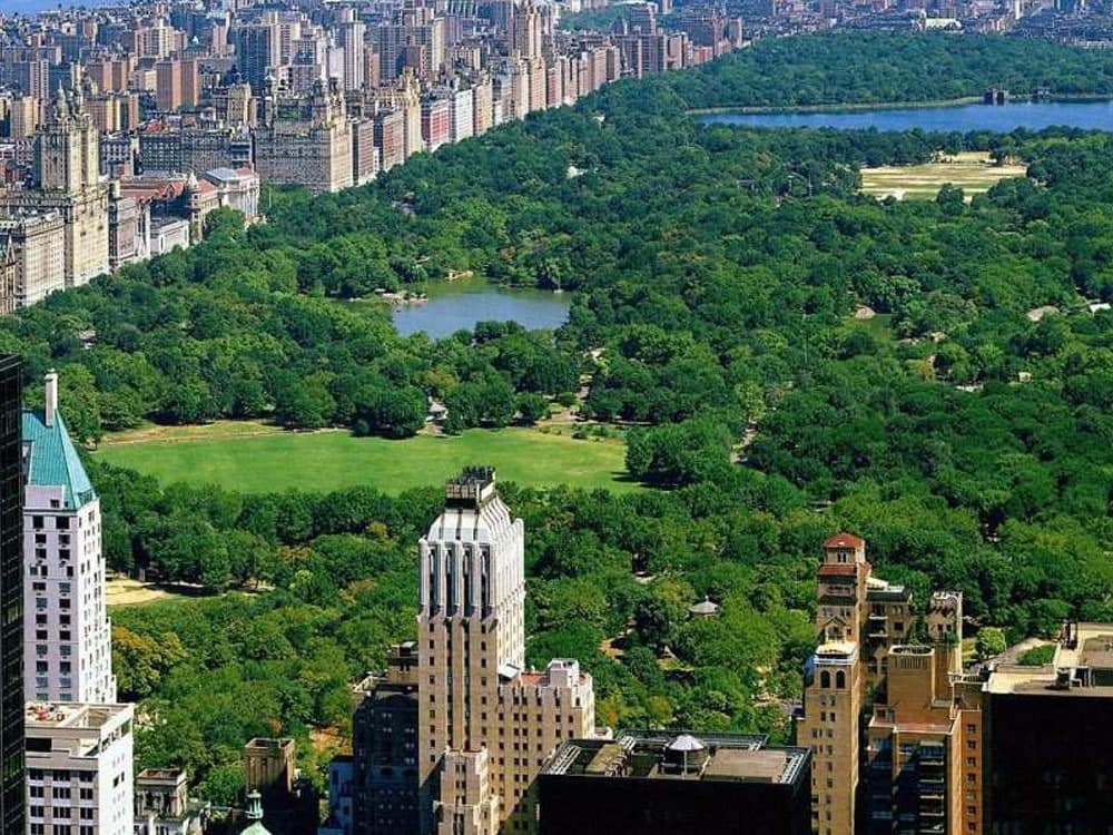 Would you rather have a city, park or river view?