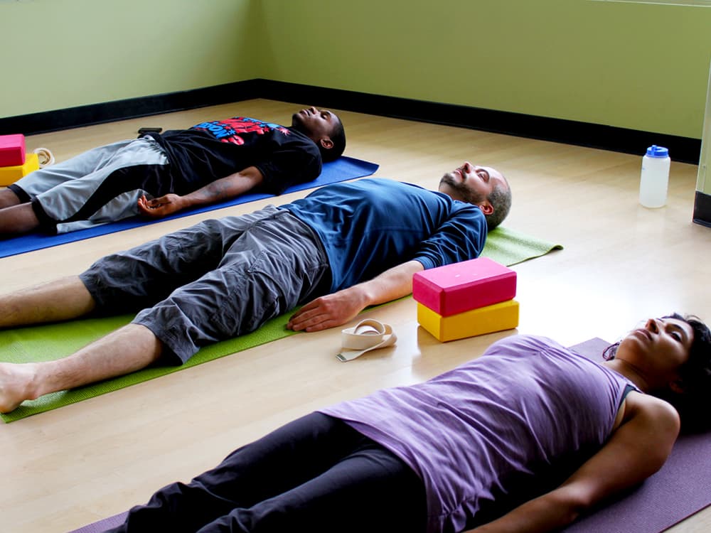 The end of Zen? Bed bugs take up yoga