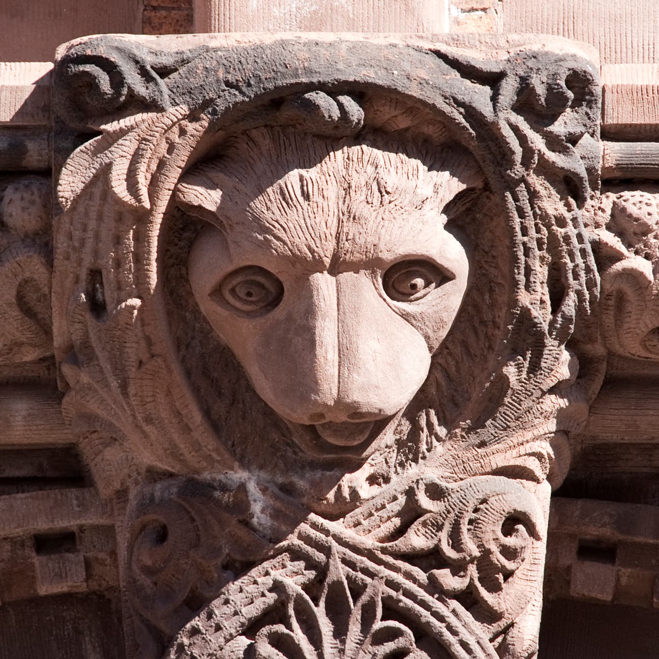 Look up: A peek at some of the city's most impressive building carvings